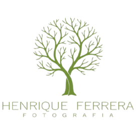 galeriavagalume.com.br